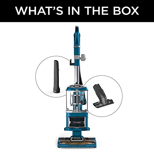 Upright Vacuum Cleaner for Home, Bagless, HEPA Filter Q241