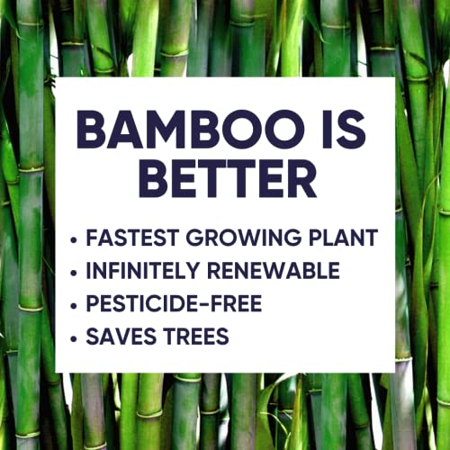 Bamboo Toilet Paper 3-Ply - 24 Rolls, 300 Sheets Per Roll, Septic Safe O52271