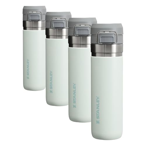 Insulated Stainless Steel Water Bottle 36 oz with Push Button Lid A883