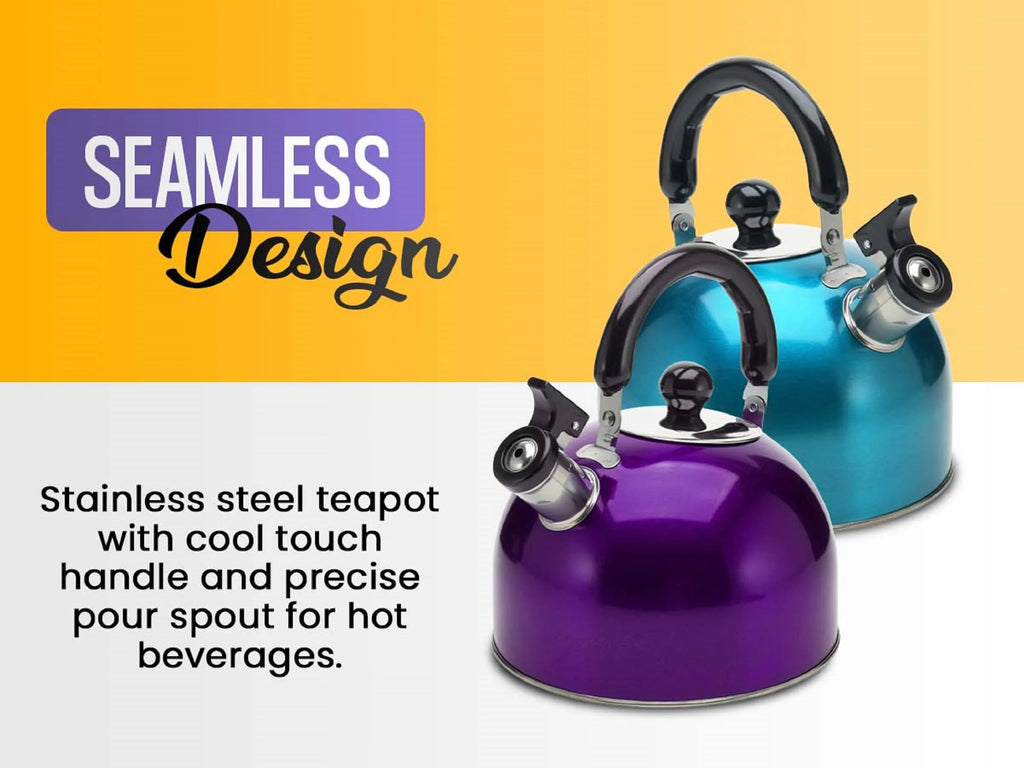 Stainless Steel Whistling Tea Kettle with Handle R1545
