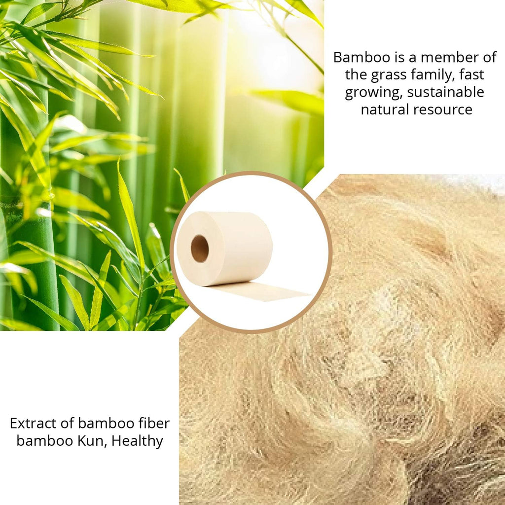 Bamboo Toilet Paper, 40 Mega Rolls, 10000 Sheets H793265