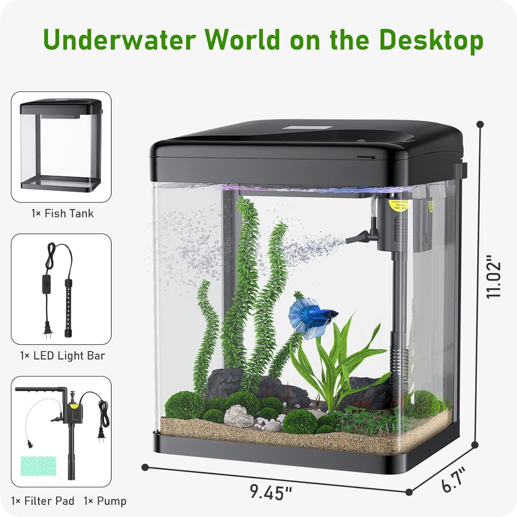 Glass Aquarium Starter Kit with Filter and Light, 2 Gallon G9333