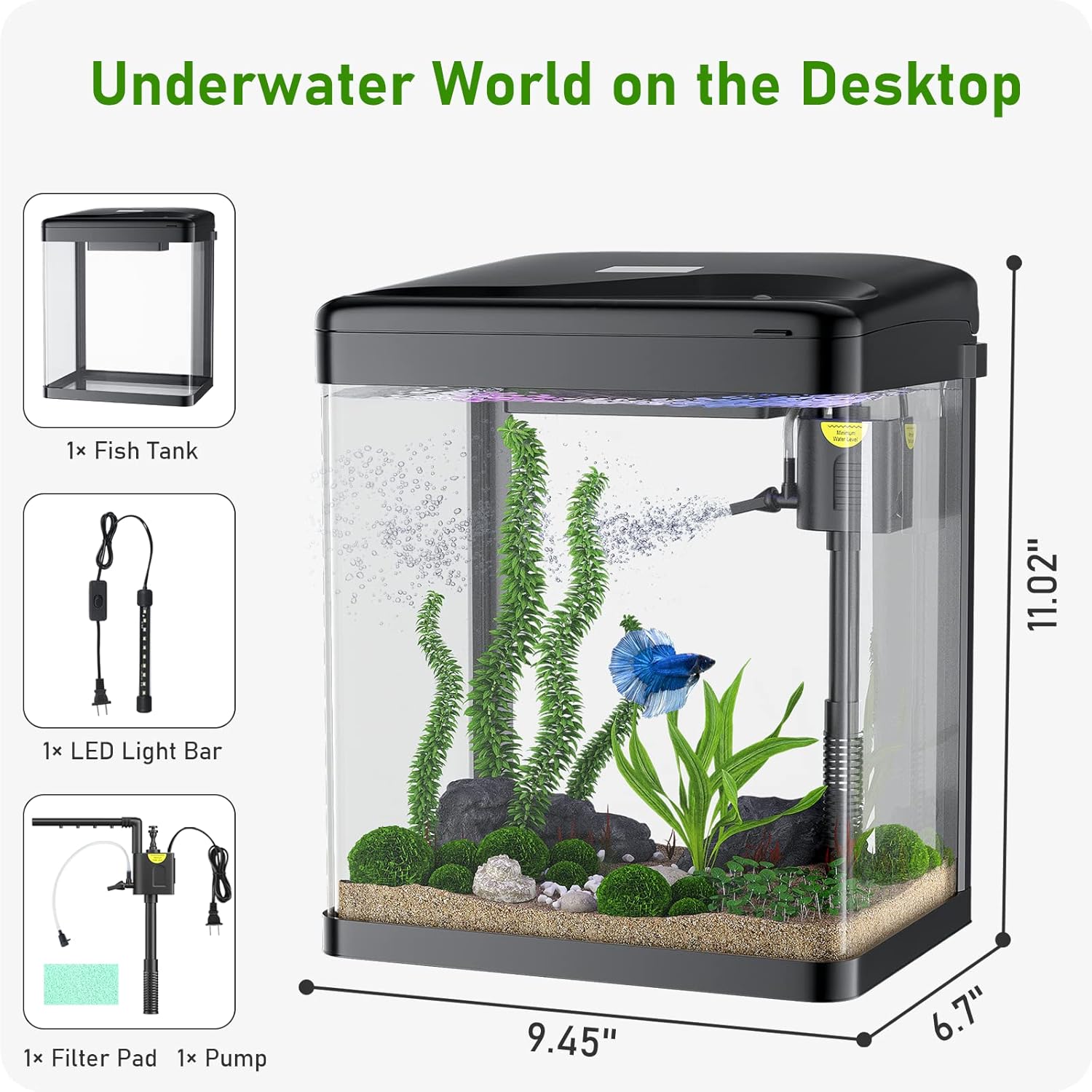 Glass Aquarium Starter Kit with Filter and Light, 2 Gallon G9333