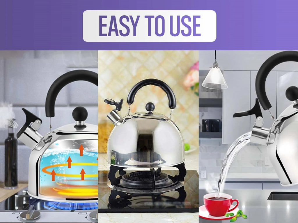 Stainless Steel Whistling Tea Kettle with Handle R1545