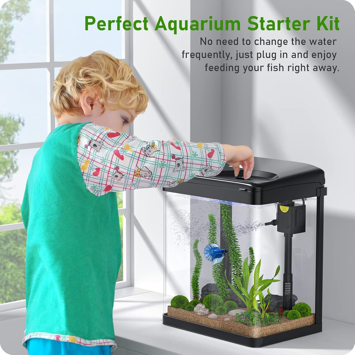 Glass Aquarium Starter Kit with Filter and Light, 2 Gallon G9333
