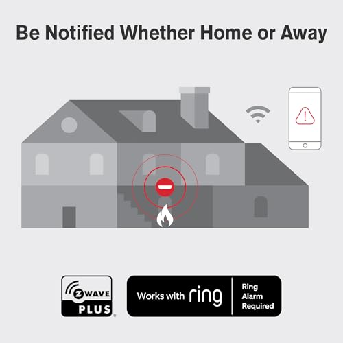 Battery Powered Smoke Detector & Carbon Monoxide Alarm N936294