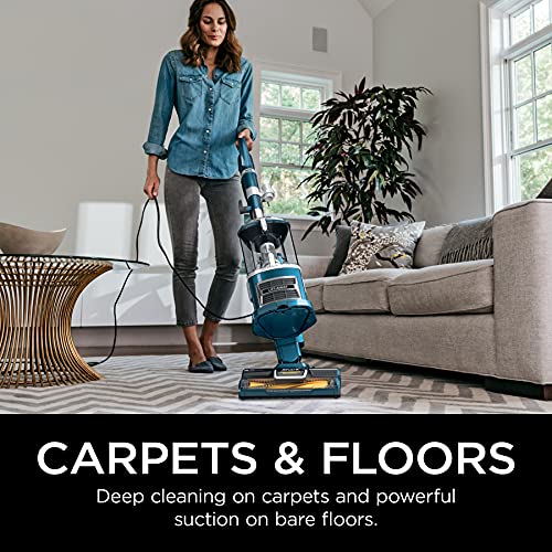 Upright Vacuum Cleaner for Home, Bagless, HEPA Filter Q241
