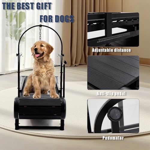 Dog Treadmill with Step Counter, Adjustable Incline & Brake, Indoor and Outdoor, Supports Up to 300 lbs N8859