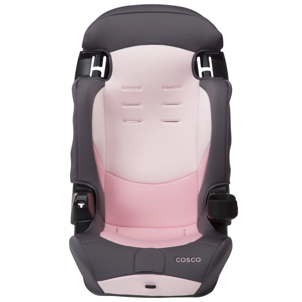 2-in-1 Booster Car Seat, Sweetberry G3872