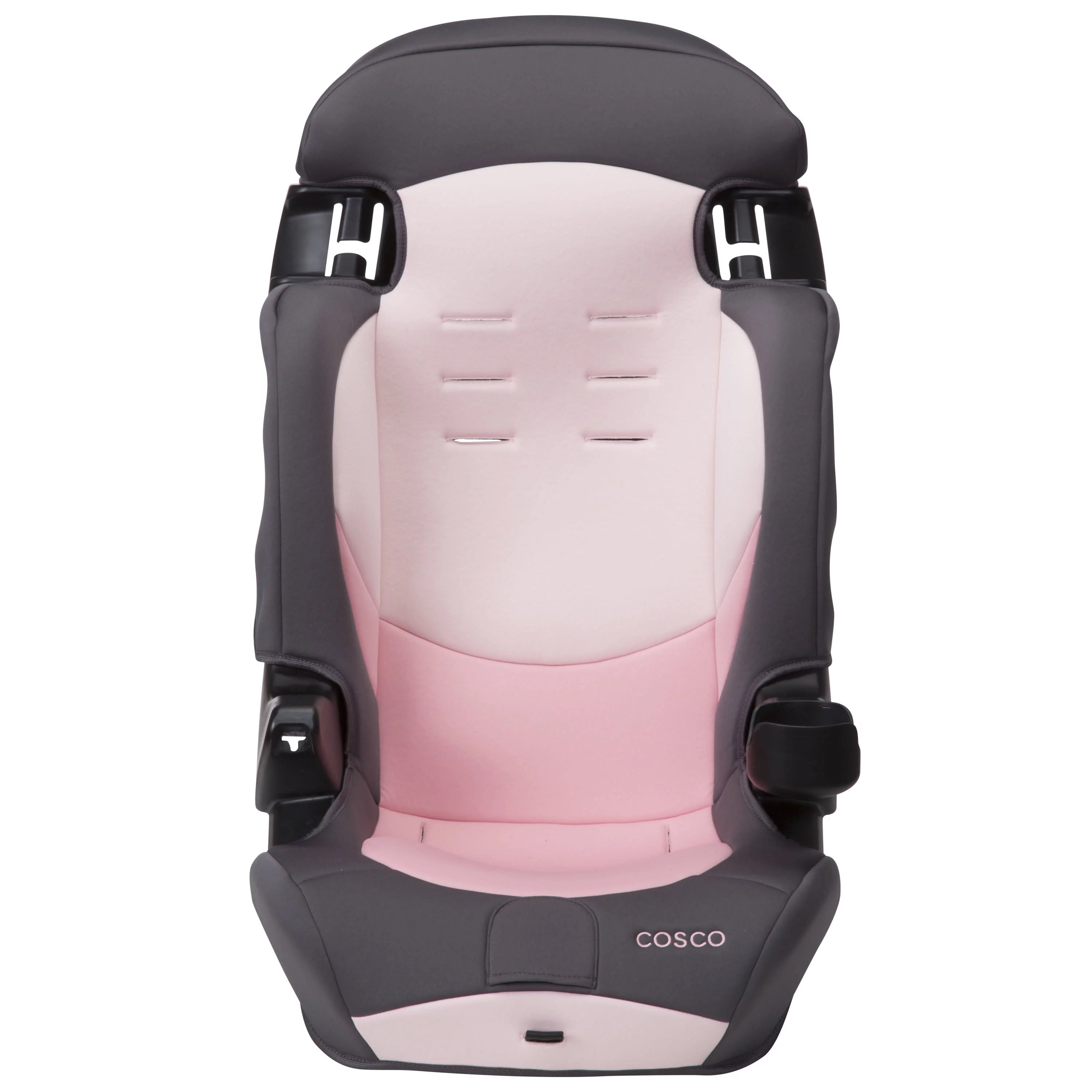 2-in-1 Booster Car Seat, Sweetberry G3872