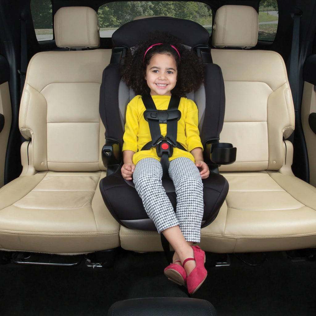 2-in-1 Booster Car Seat, Sweetberry G3872