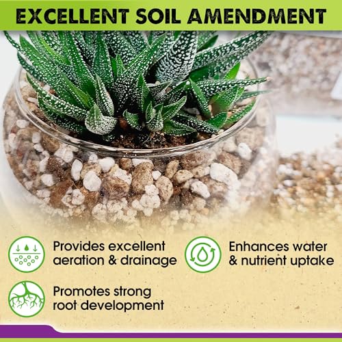 Horticultural Pumice for Plants Indoor, Soil Additive for Bonsai, Succulent, Cactus, 1/4" - 3/8", 2 QT N60482