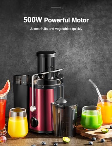 Juicer Machine, 800W Centrifugal Extractor with Wide Mouth Feed Chute, Stainless Steel, BPA-free V753