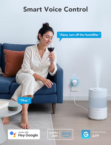 Smart Plug WiFi Outlet with Timer, 4 Pack R790