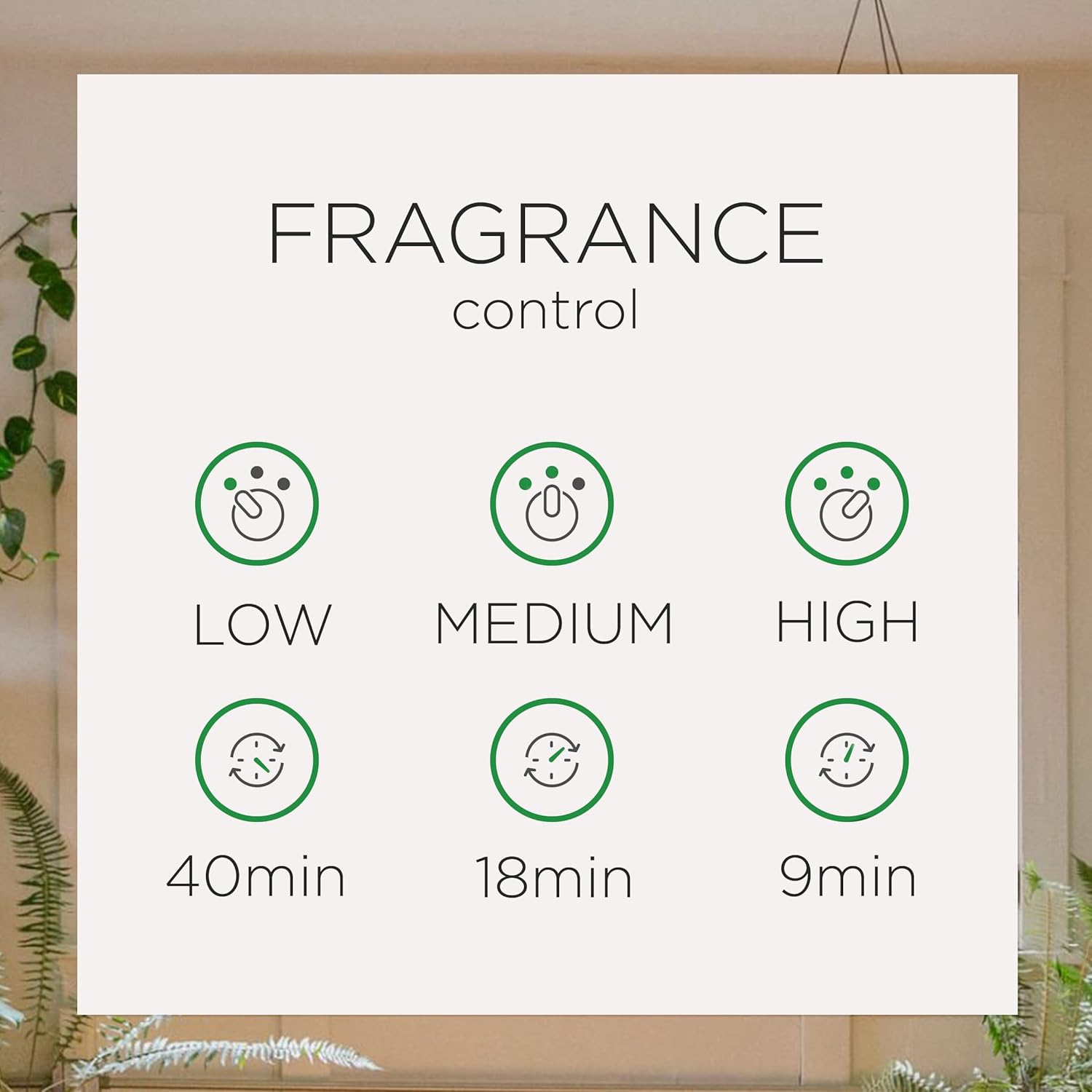 Automatic Spray Air Freshener Kit with Refill, Summer Delights, 2 Count X185708