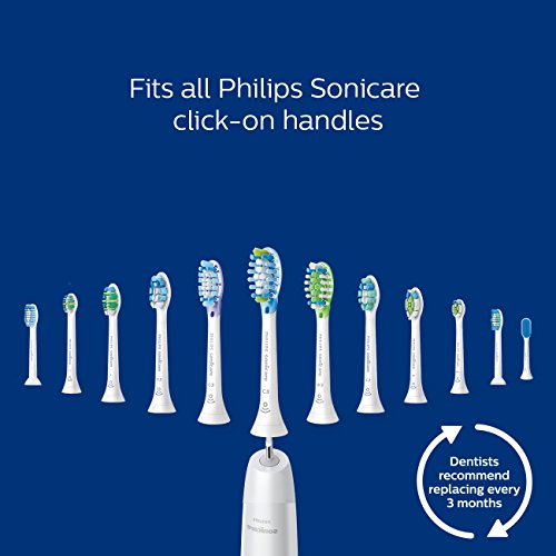 Rechargeable Electric Power Toothbrush Q6866