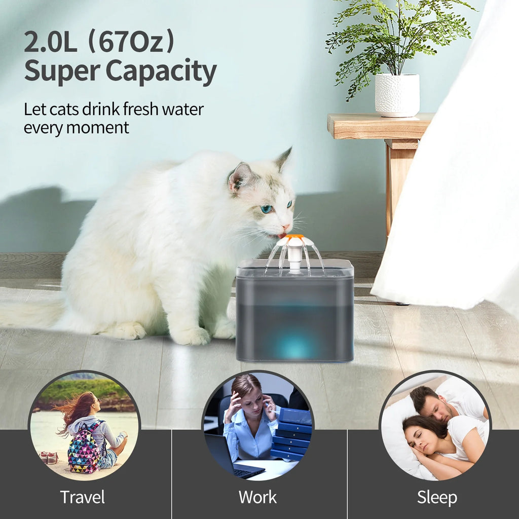 Cat Water Fountain, 2L Automatic Pet Drinking Dispenser with Filters, Quiet Pump, Black D405