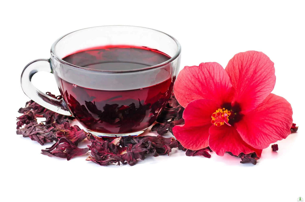 Dried Hibiscus Flower Tea, Cut & Sifted, 16 oz E379278
