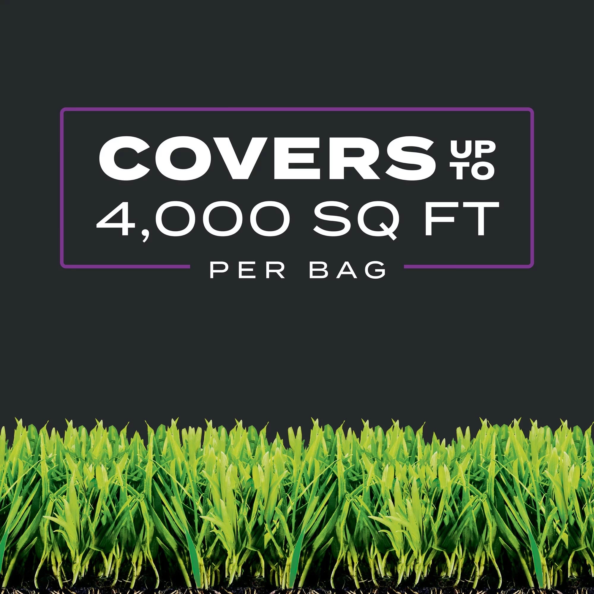 Southern Triple Action Lawn Fertilizer, 4000 sq ft O655