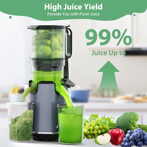 Cold Press Juicer with Extra Large Feed Chute for Whole Fruits and Vegetables V899