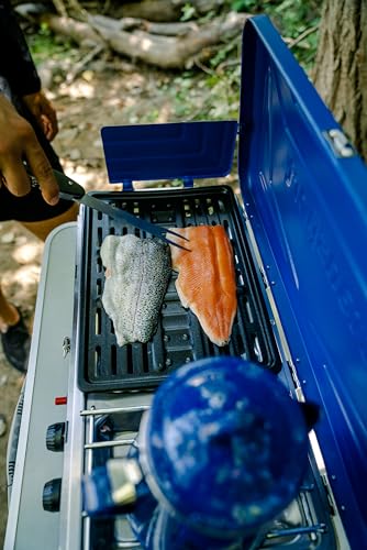Propane Portable Camping Stove Q5753