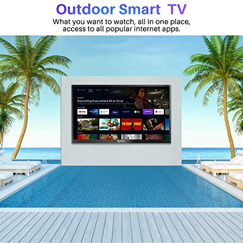 Outdoor TV 55 inch 4K Weatherproof Television for Outside J6266