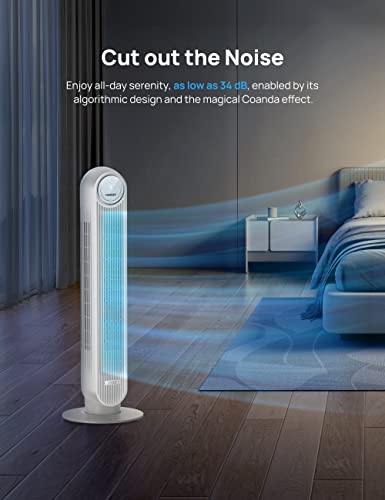 Portable Space Heater for Indoor Use, 70° Oscillation, 12H Timer, Quiet R789210