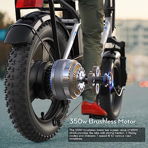 Electric Bike 16" Fat Tire 350W Step Thru, 48V Removable Battery, 40 Miles U430