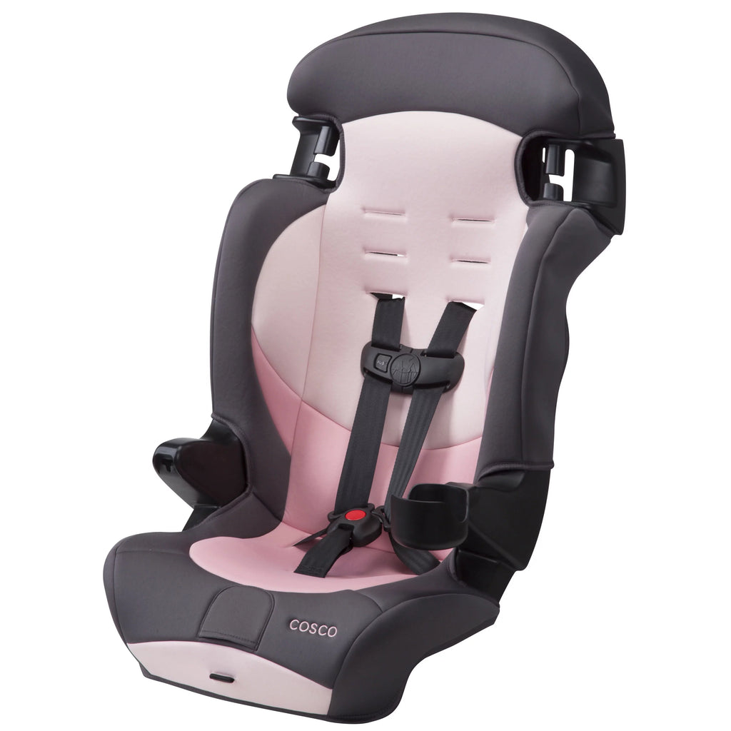 2-in-1 Booster Car Seat, Sweetberry G3872