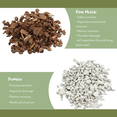 Cactus and Succulent Potting Mix, Fast Draining E2074