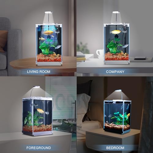 1.5 Gallon All-in-One Starter Kit with Float Glass Tank, Filter, Light, Rocks, Gravel, Plants W9312