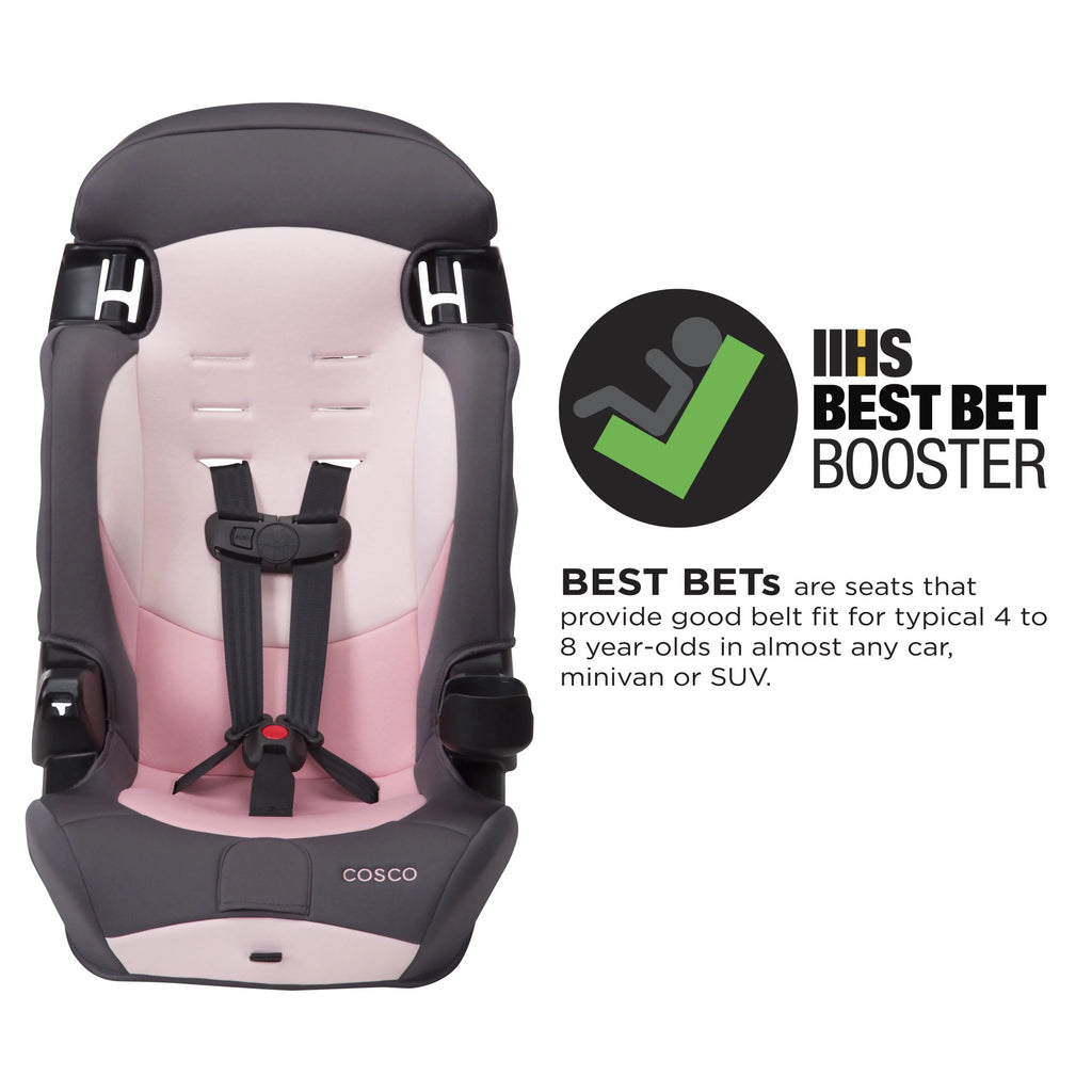 2-in-1 Booster Car Seat, Sweetberry G3872