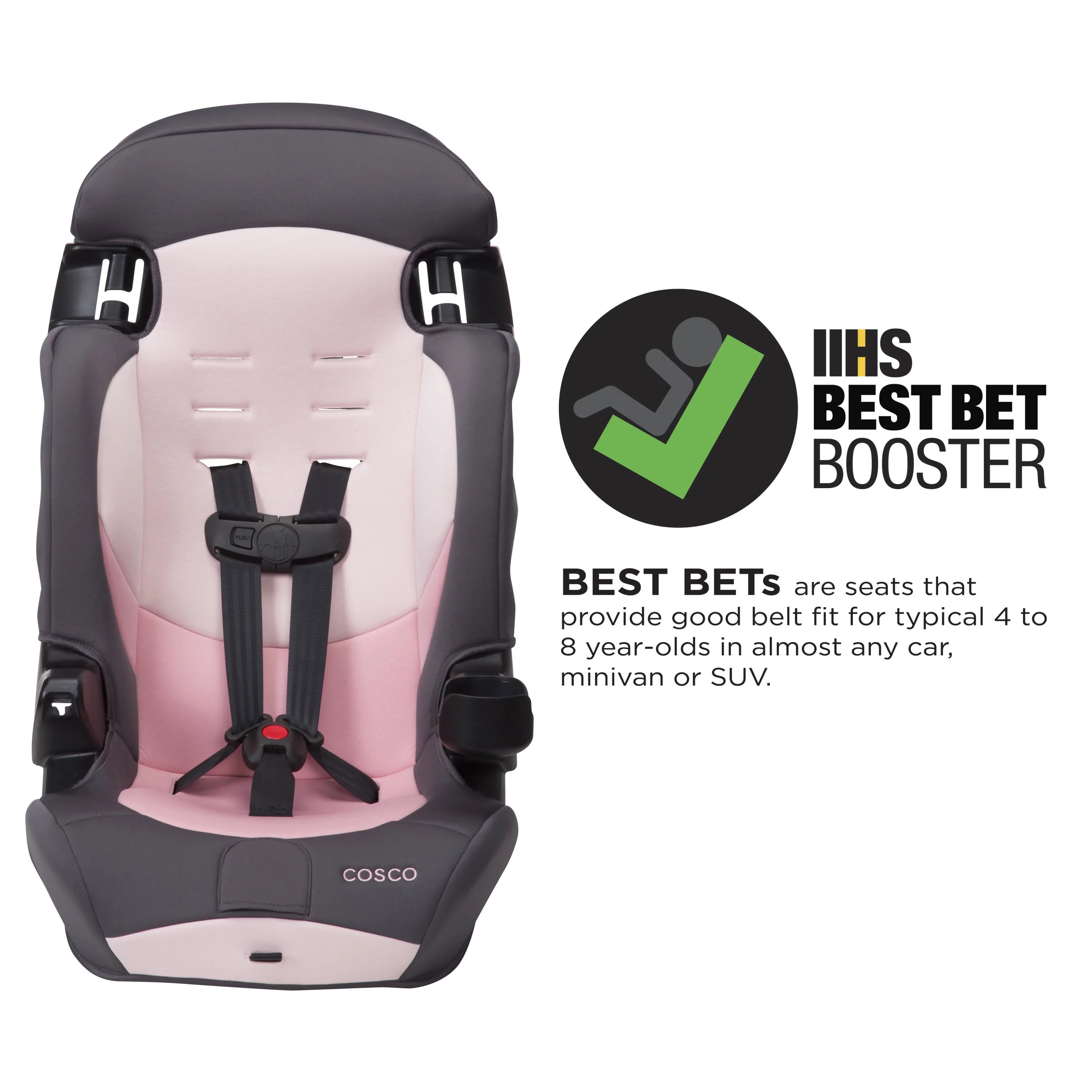 2-in-1 Booster Car Seat, Sweetberry G3872
