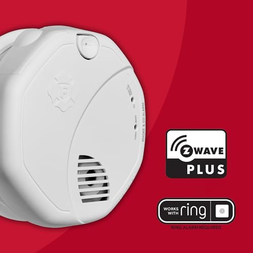 Battery Powered Smoke Detector & Carbon Monoxide Alarm N936294