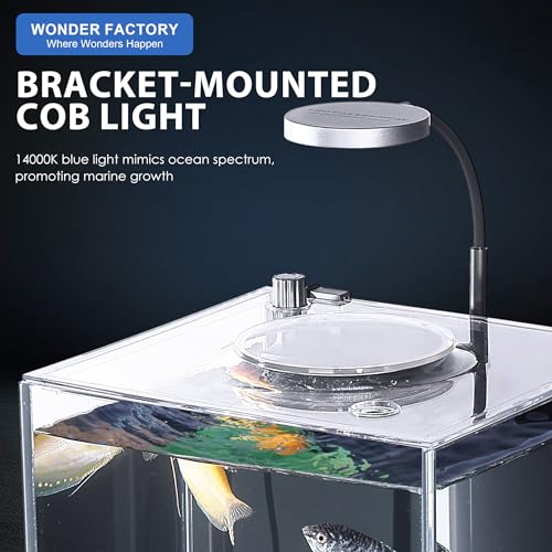 1.5 Gallon All-in-One Starter Kit with Float Glass Tank, Filter, Light, Rocks, Gravel, Plants W9312