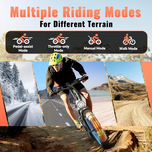 Folding Electric Bike for Adults Full Suspension, 20" Fat Tire D6225
