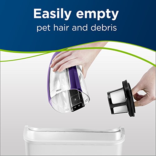 Cordless Hand Vacuum for Pet Hair, Home and Auto H44070