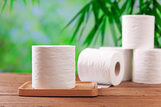 Bamboo Toilet Paper 2-Ply with Kitchen Towel, 24 Rolls J262