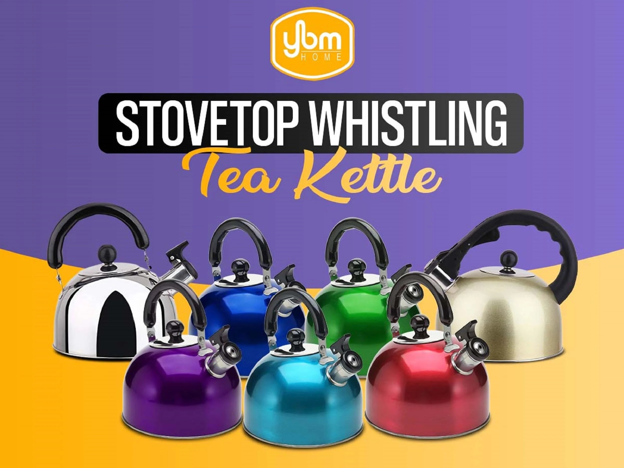 Stainless Steel Whistling Tea Kettle with Handle R1545